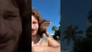 Swimming with my otter! ￼#shorts #short #pets #pet #otter #animals