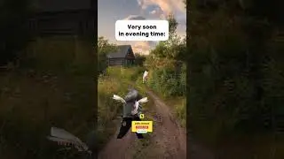 Every evening man #funnyreel #funny #mosquito
