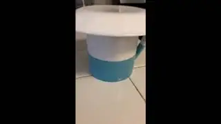 Tea Training 101