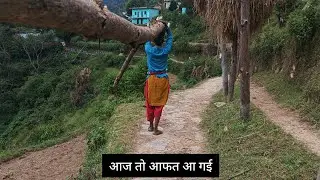मायके में पहले कभी नहीं किया ऐसा काम 👍😜🥲 आफत आ गई आज,#phadilifestyle #garhwalivlogger #viralvideo 