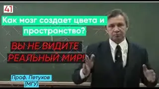 [41/55] Как Мы Видим Цвет и Пространство? | Восприятие и Сенсорная Психофизика | Проф. Петухов (МГУ)