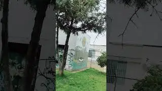 muchos &aacute;rboles en los parques #quito