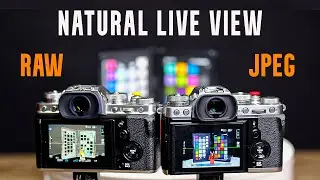 Fujifilm Natural Live View: JPEG vs. RAW