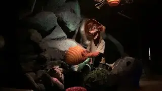 Splash Mountain WDW Log Jam Footage (Multi-Angle & Lights On)