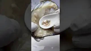 Heart Shape Pearls #freshwaterpearl #pearljewelry #pearl #pearls #oysterpearl #jewelry #fyp #shorts