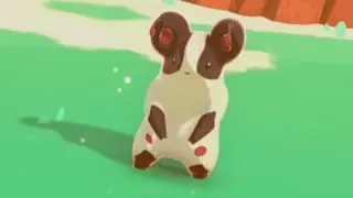 Luma Hunt 