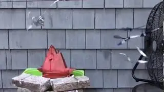 Windy Sea - Kinetic and Sound Project