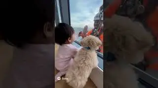 Baby, Puppy Say Hi to Window Cleaner #cutebaby #cutedog #cute #adorable  #baby #dog #puppy