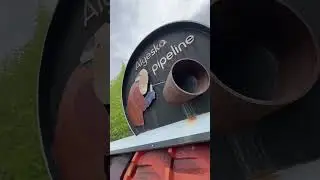 Alaska pipeline &ldquo;￼pigs&rdquo; are used for cleaning gunk off oil pipes!
