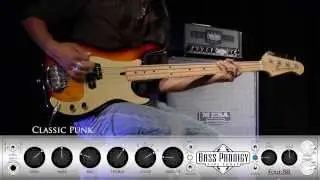 MESA/Boogie Bass Prodigy 4:88 &ndash; Classic Punk