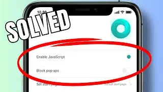 How to turn off JavaScript in Mint Browser