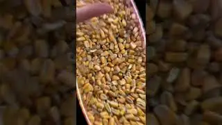 When u really commit to it… ITS CORN!!!