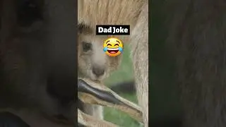 😆 Dad's Epic Joke! Brace Yourself for a Laughter Explosion! #Shorts