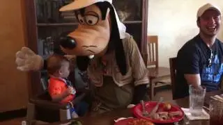 Baby Meets Goofy at Disney's Animal Kingdom Tusker House Character Dining