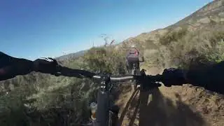Crosses (Lower Smashface) Conditions 2025-03-23