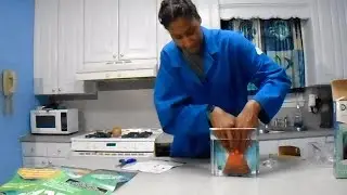 S1 E11 Discovery Underwater Volcano Kit Review