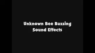 Unknown Bee Buzzing SFX