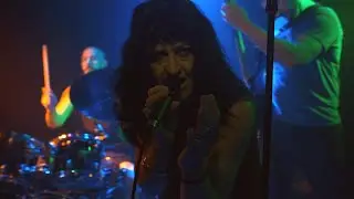 The Sexels - Live @ Low Life Basement Bar, May 2nd 2025