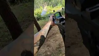 Firebird Reactive Targets (Bio50)