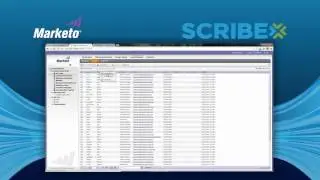 Integrate Marketo Data - Scribe Marketo Connector