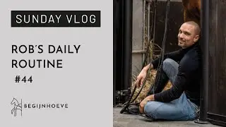 Does a stable owner & rider have a daily routine? | Begijnhoeve | Sunday vlog #44
