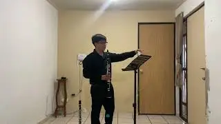 Efra&iacute;n de Jes&uacute;s L&oacute;pez Landin, Clarinete, 17 a&ntilde;os, Guanajuato. Audici&oacute;n OSIM 2025