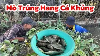 Giăng Lưới Kết Hợp Mò Hàng, Trúng Ổ Cá Bắt Đã Tay | KuTee Sa Đéc