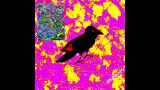 Girls Rituals - Black Crow