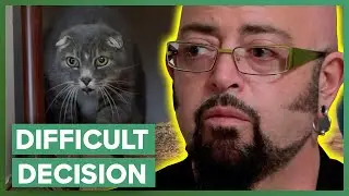 Couple Ask For Jackson&rsquo;s Advice On A Difficult Decision | My Cat From Hell