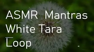 ASMR Mantras   - White Tara Loop #meditation #whispering #zen #loop #buddhist
