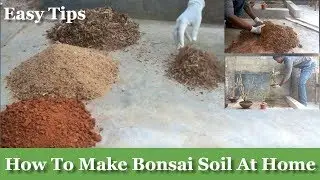 How to Make Bonsai Soil at Your Home for Beginners//GREEN PLANTS
