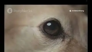 you won't believe how nature fight's back