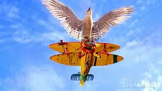 Falcão vs Avião de brinquedo | O Pequeno Stuart Little 2 | Clipe