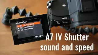 Sony A7 Mark IV Speed and Shutter sound