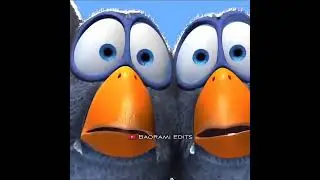 angry birds attack