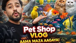 Itne pyare birds pehli baar dekhe 😍 | Pet Shop Vlog