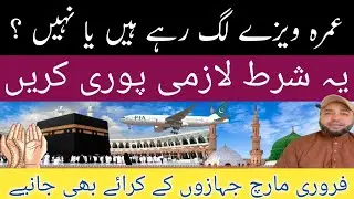 is Umrah Visa open in February 2026 ?