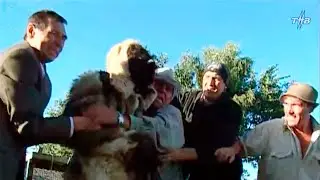Кешечә яшик (2004)