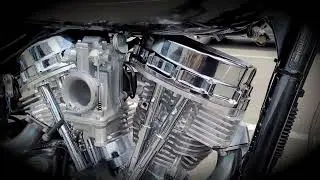 Shake, babe, shake!!! PanShovEvo (a.k.a. Rubbermount Funtime)!
