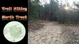 York Regional Forest  - North Tract