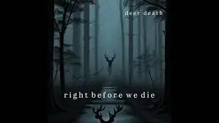 deer death - right before we die unofficial lyrics