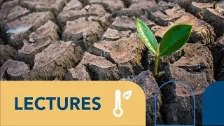 Possible reforms for carbon market integration | Baran Doda, adelphi