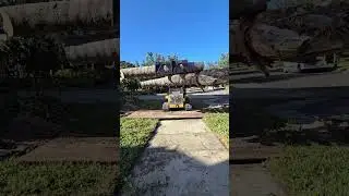 Winter Garden Landscape renovations and installations, Gabe Home & Outdoor Services Llc.