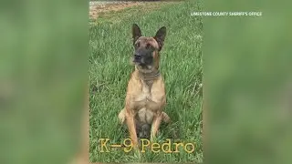 Limestone County K9 officers receive new gear