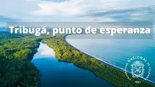 Tribugá, punto de esperanza | #EspecialesUNAL