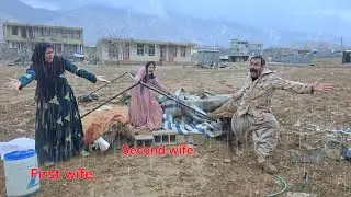 Husband's anger: second wife begged her husband not to tear her veil and throw her out.
