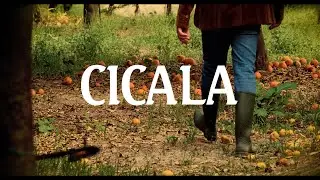 R.A.M.O.N.N. - Cicala (Official Video)