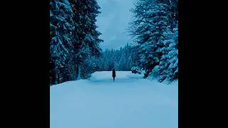 Licistrata, Илья Масленников &mdash; Don't Stand by My Grave