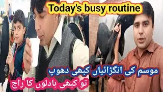 (140)Reality of goat farming business/Today routine vlog in Goats 