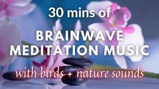 30 mins of Brainwave Meditation music | Birds Sounds | Nature Music | Healing